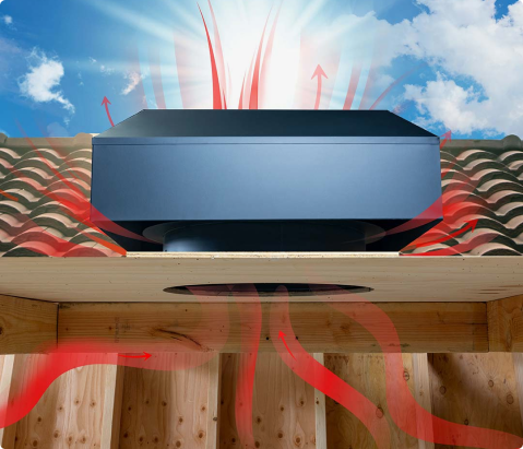 Professional Basement Humidification